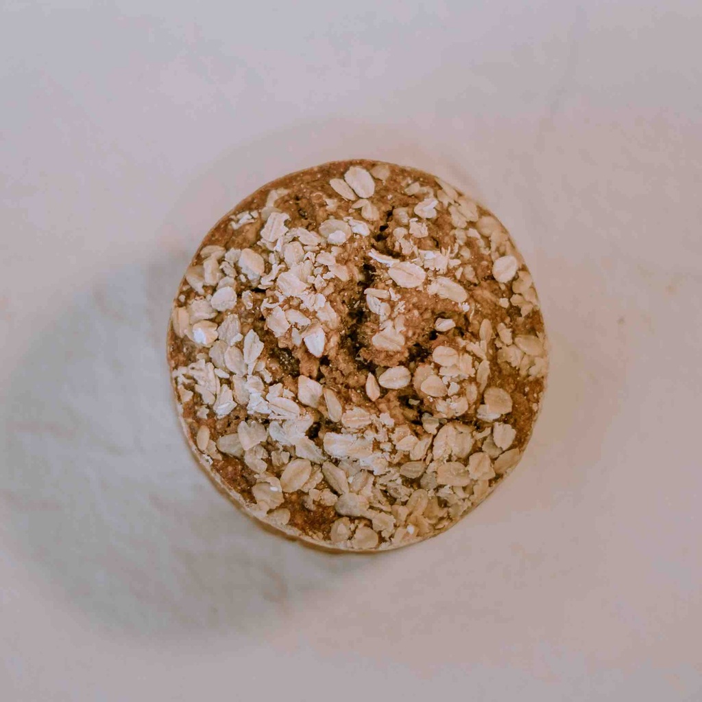 [PANN] Petite de zucchini